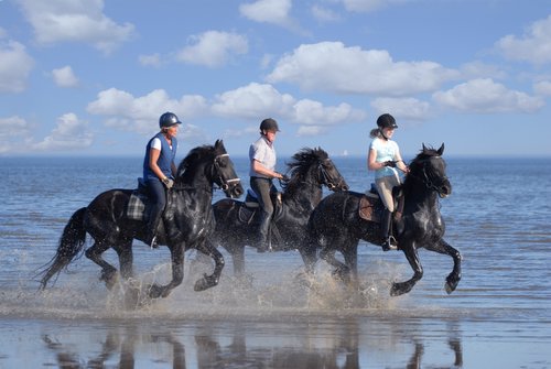 Frisen reiten an der Nordsee, Reiten am Strand